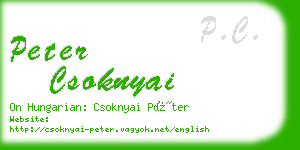 peter csoknyai business card